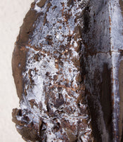 Sculpture de Thomas Junghans