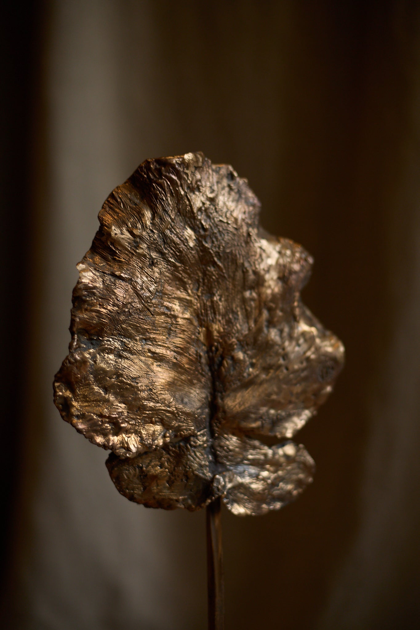 Feuille arbre de Clotilde Ancarani