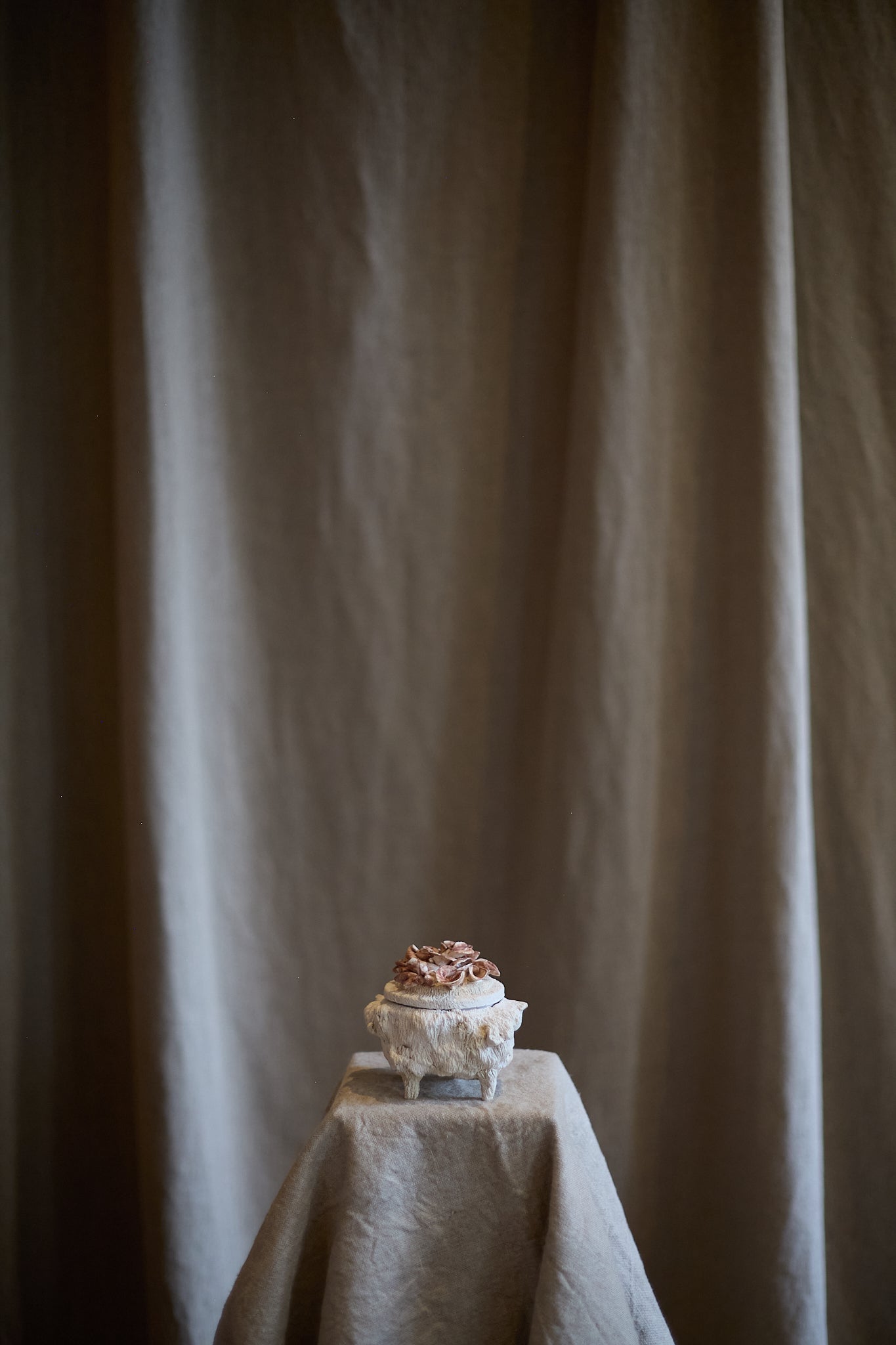 Little Box of Shells I by Le Ruisseau 
