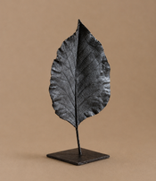 Feuille fermée de Clotilde Ancarani