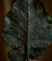 Feuille Arbre de Clotilde Ancarani