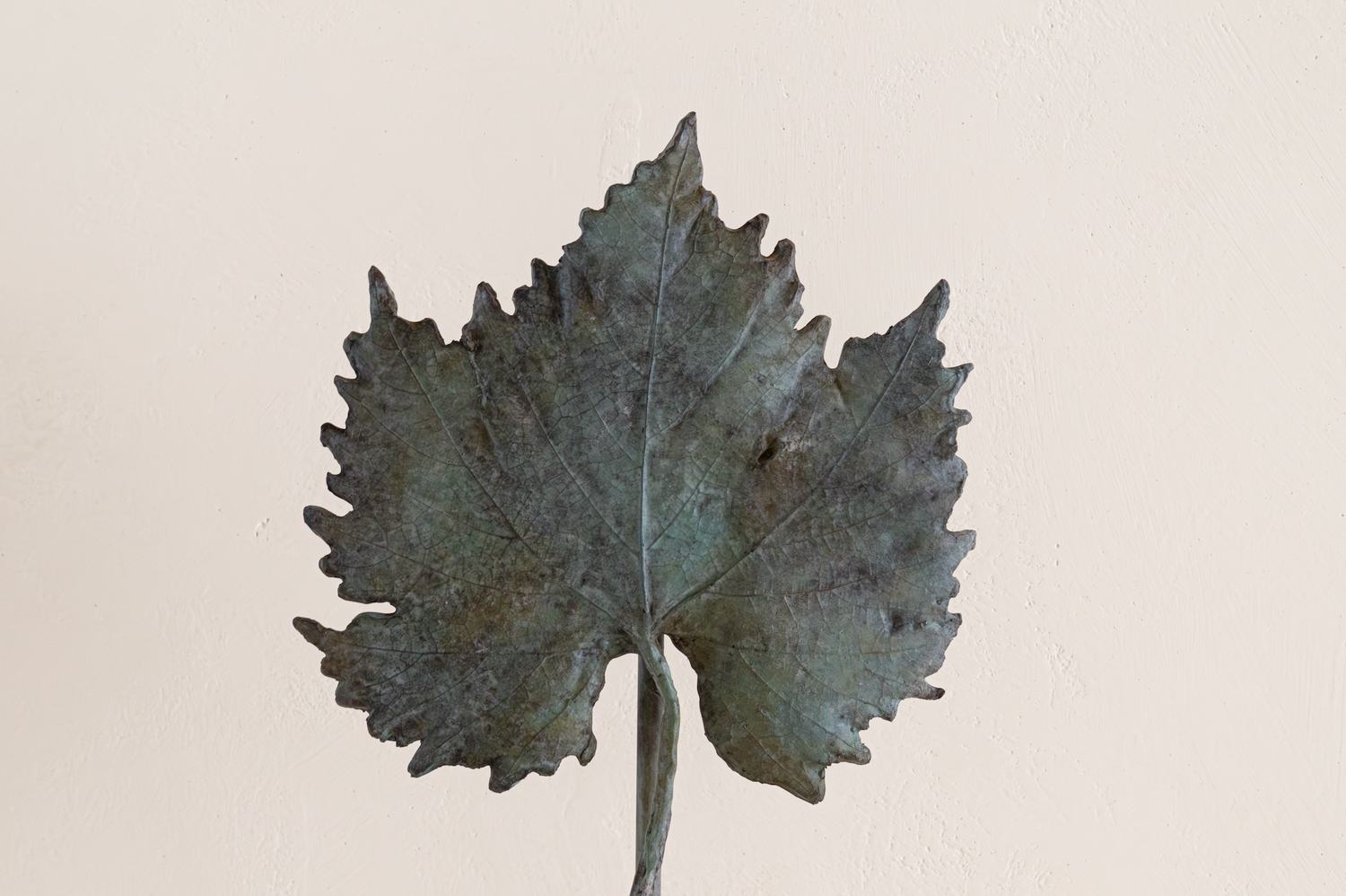 Feuille d'érable de Clothilde Ancarani
