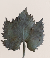 Feuille d'érable de Clothilde Ancarani