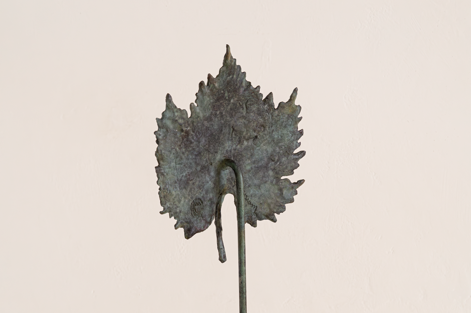 Feuille d'érable de Clothilde Ancarani