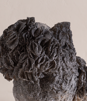 Lichen Vase by Le Ruisseau 