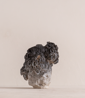 Lichen Vase by Le Ruisseau 