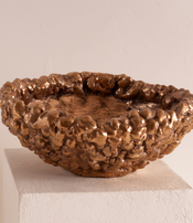 Coupe Bubble de Clothilde Ancarani
