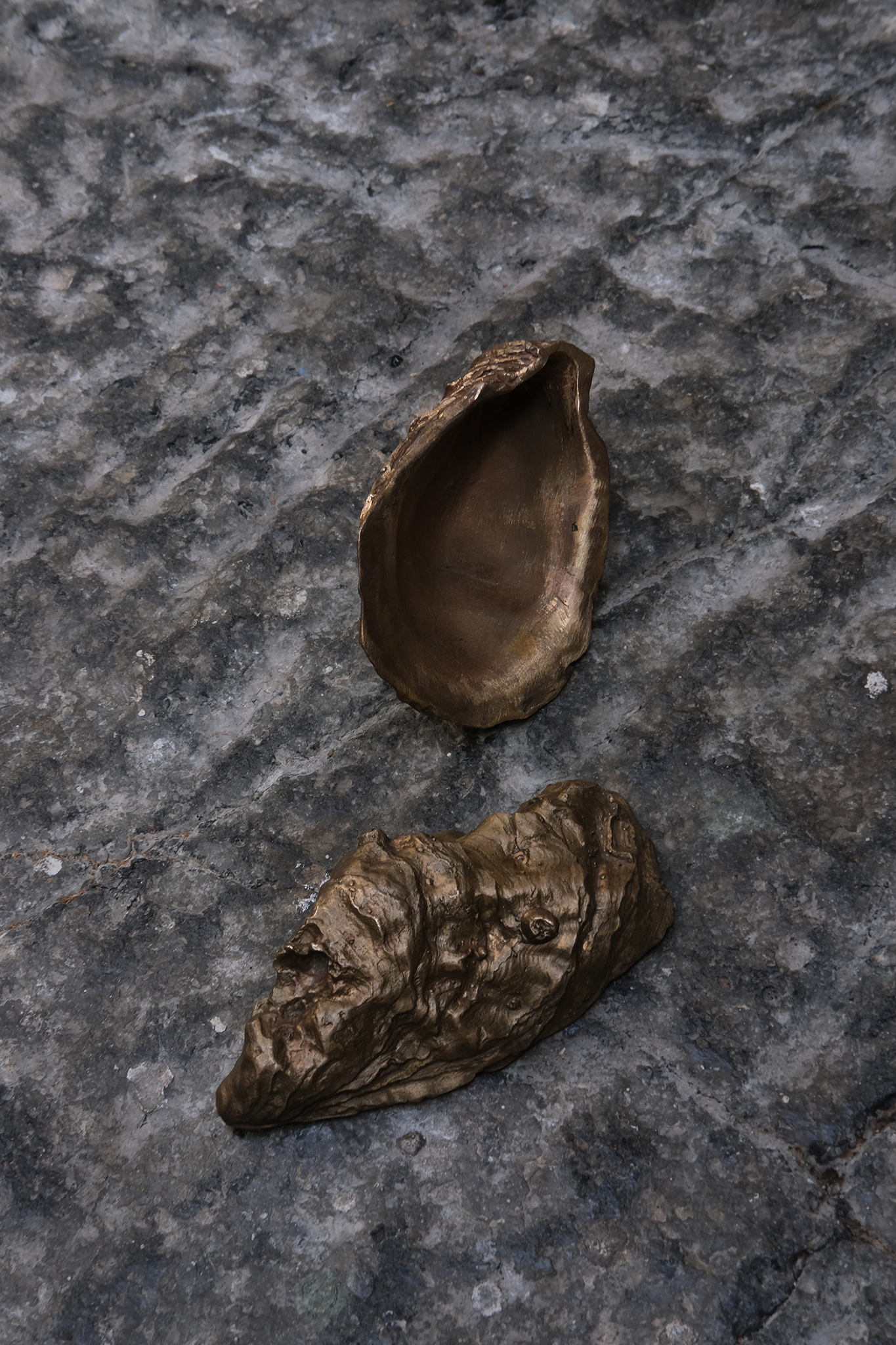 Sculpture Huître par Médecine Studio