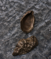 Sculpture Huître par Médecine Studio