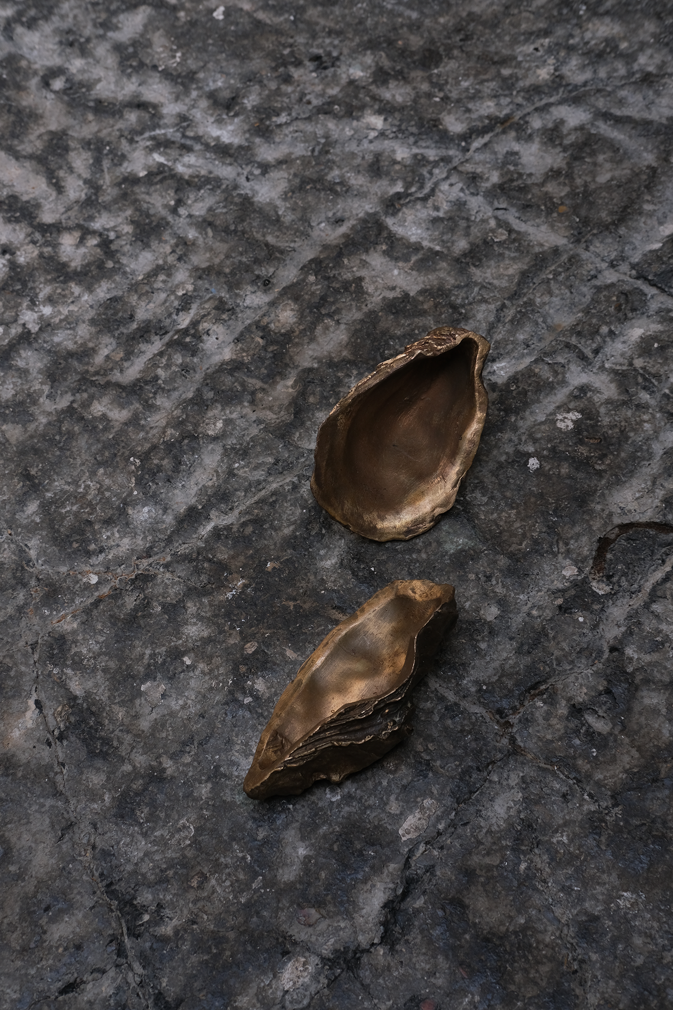 Sculpture Huître par Médecine Studio