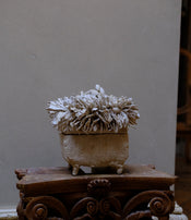 Box by Le Ruisseau 