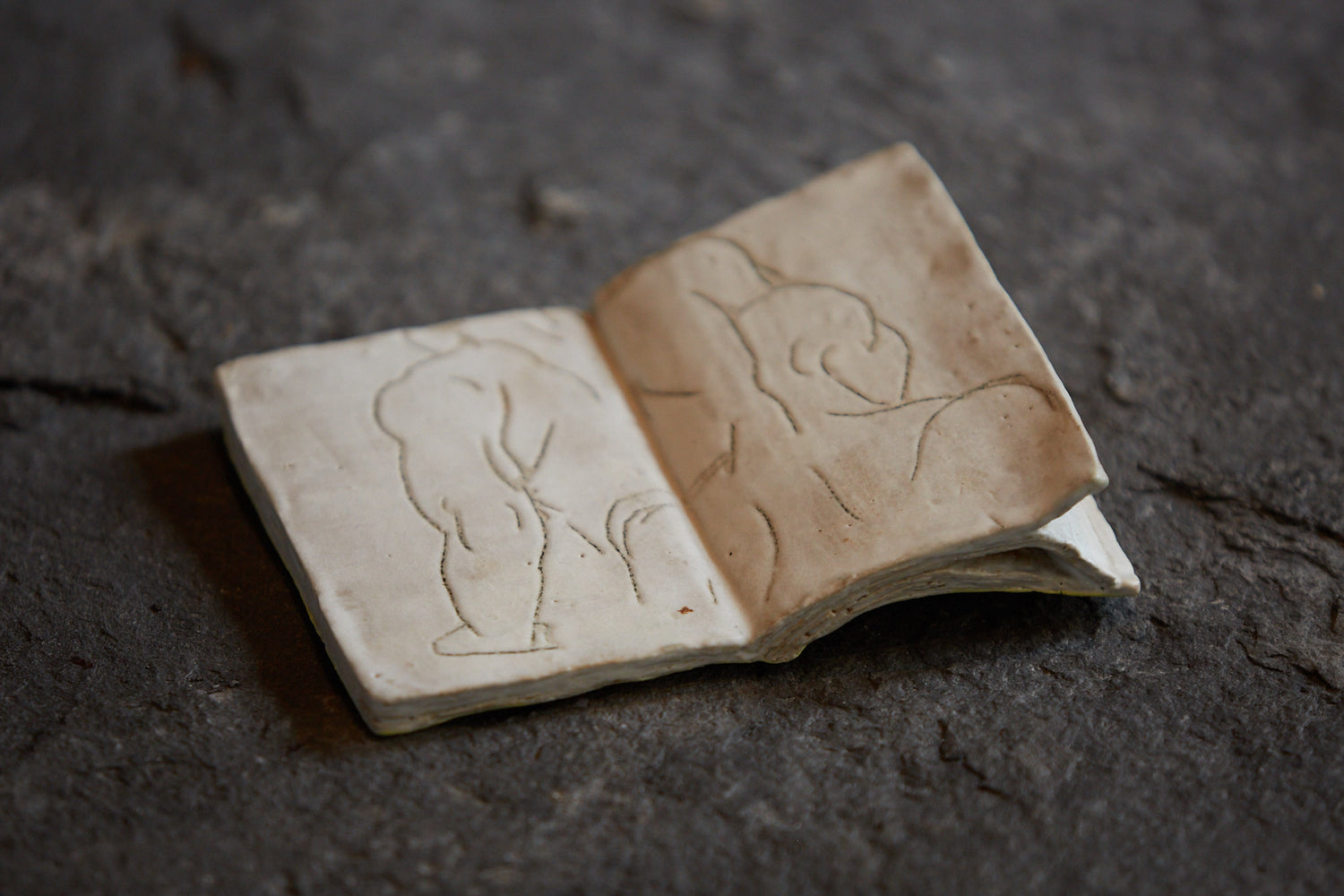 Little book by Claire Lézier 