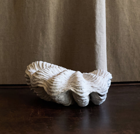Boite tridacne de Claire Lézier