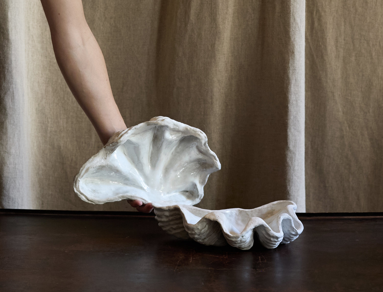 Boite tridacne de Claire Lézier