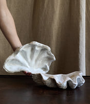 Boite tridacne de Claire Lézier