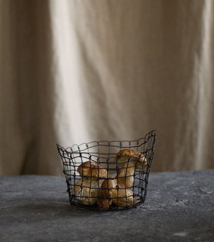 Bénitier vannerie d'acier de Clara Denidet