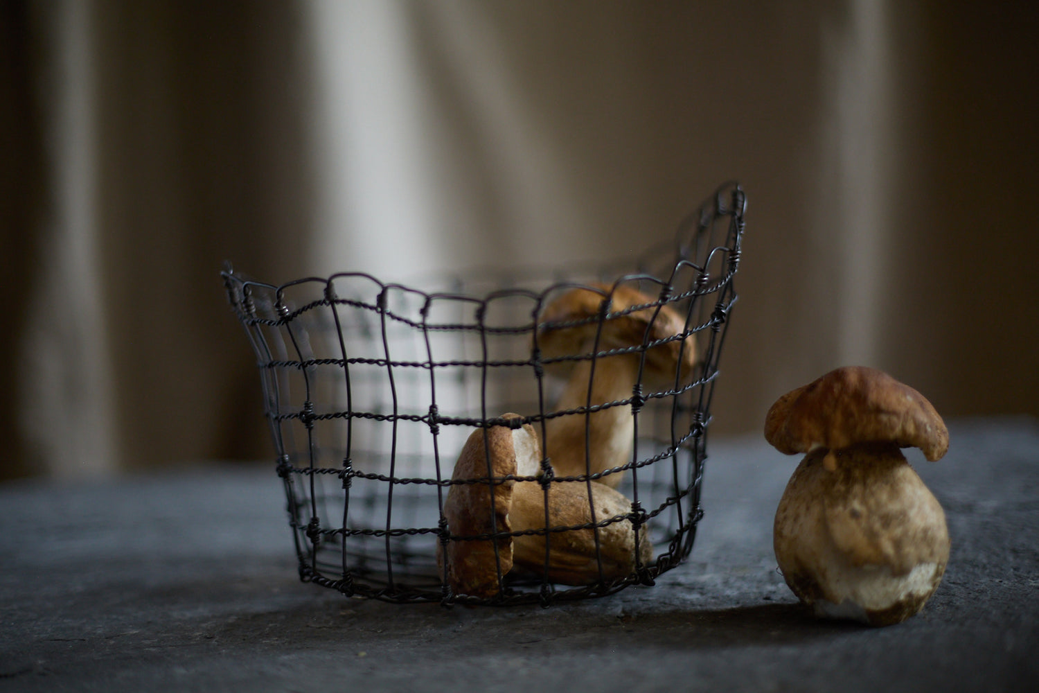 Bénitier vannerie d'acier de Clara Denidet