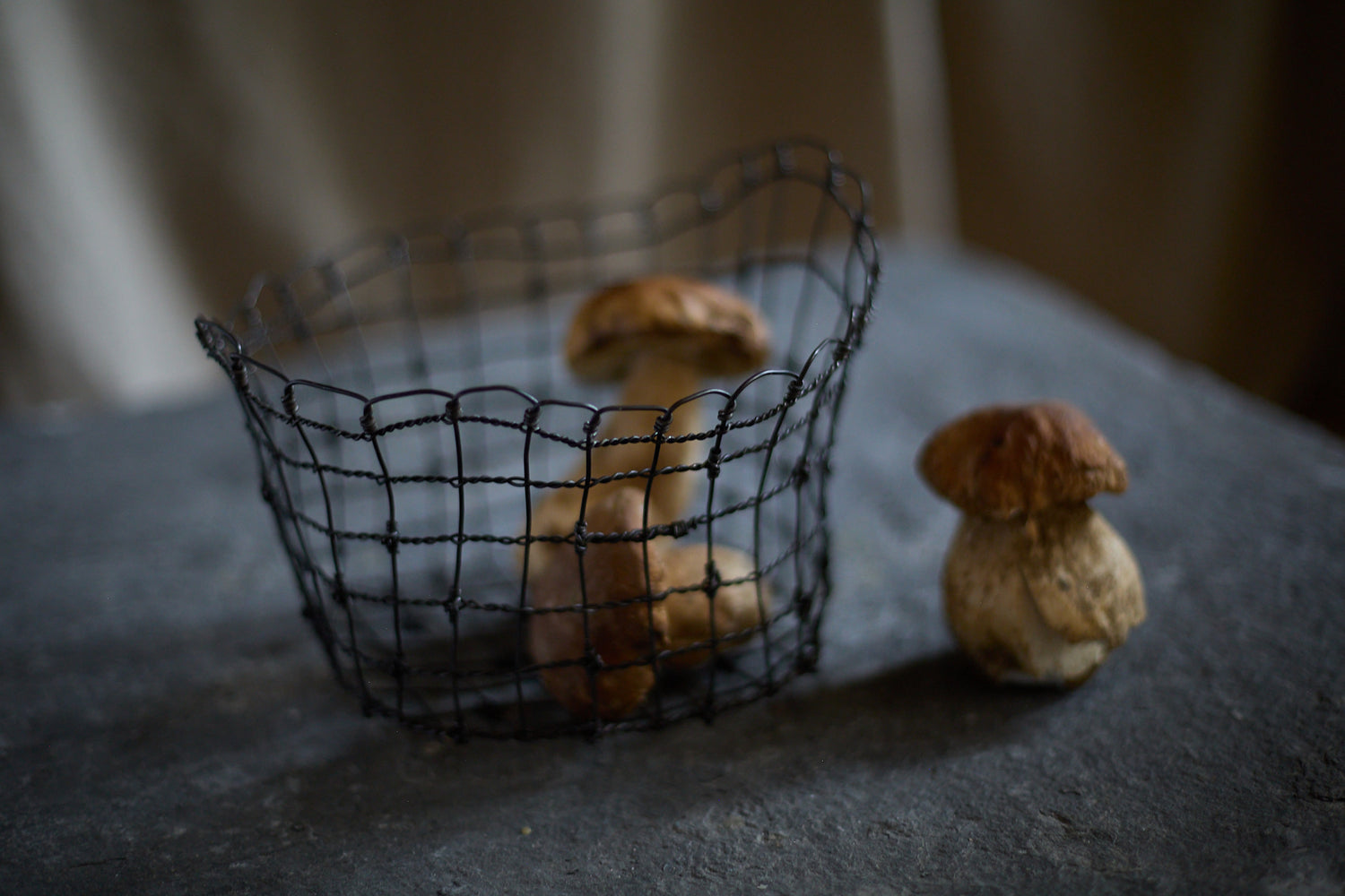 Bénitier vannerie d'acier de Clara Denidet