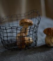 Bénitier vannerie d'acier de Clara Denidet