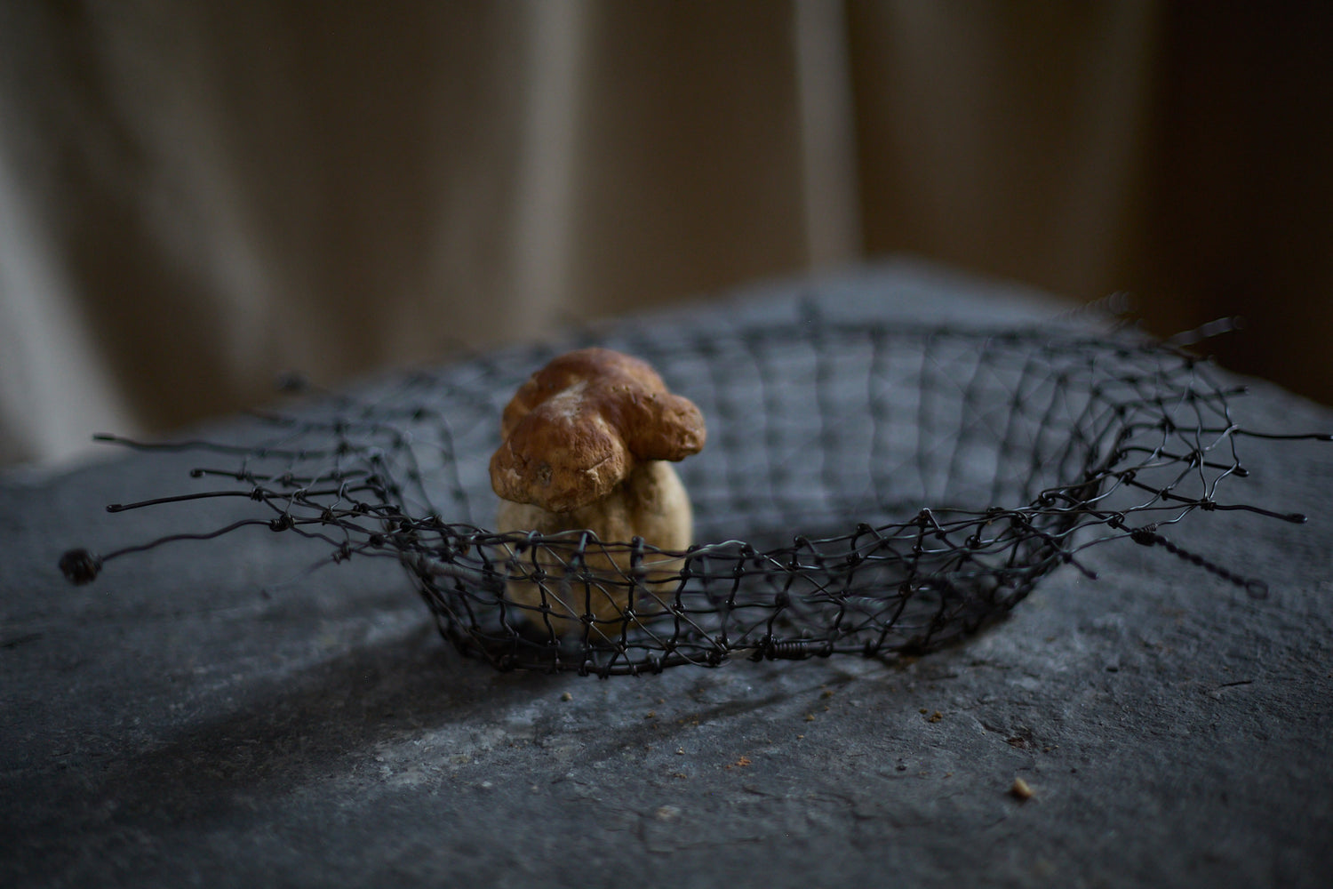 Plat en vannerie d'acier par Clara Denidet