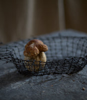 Plat en vannerie d'acier par Clara Denidet