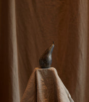 Bronze pear by Alice-Andrea Ewing 