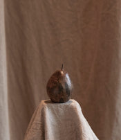 Bronze pear by Alice-Andrea Ewing  