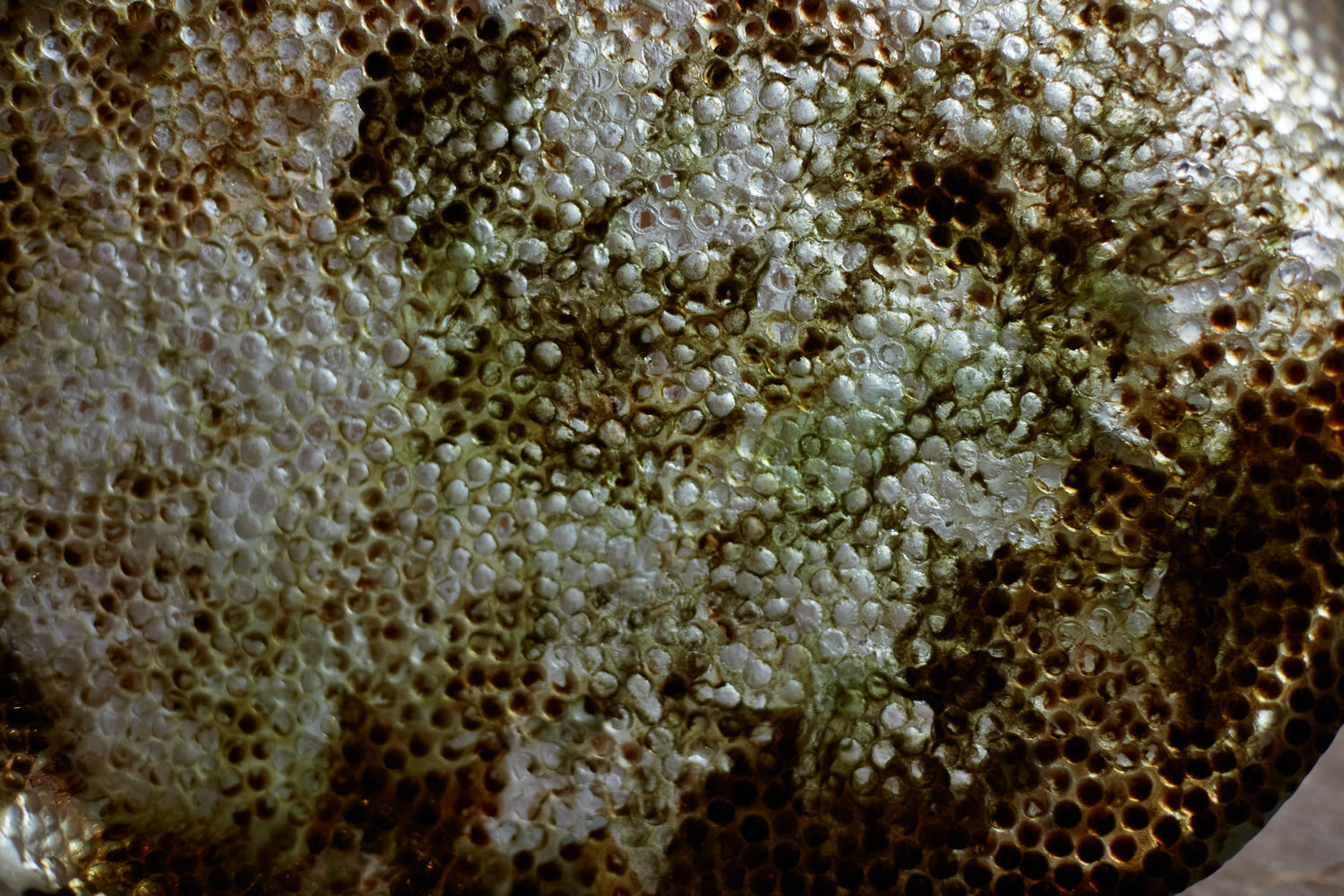 Plateau en pâte de verre de Maison Pelletier Ferruel