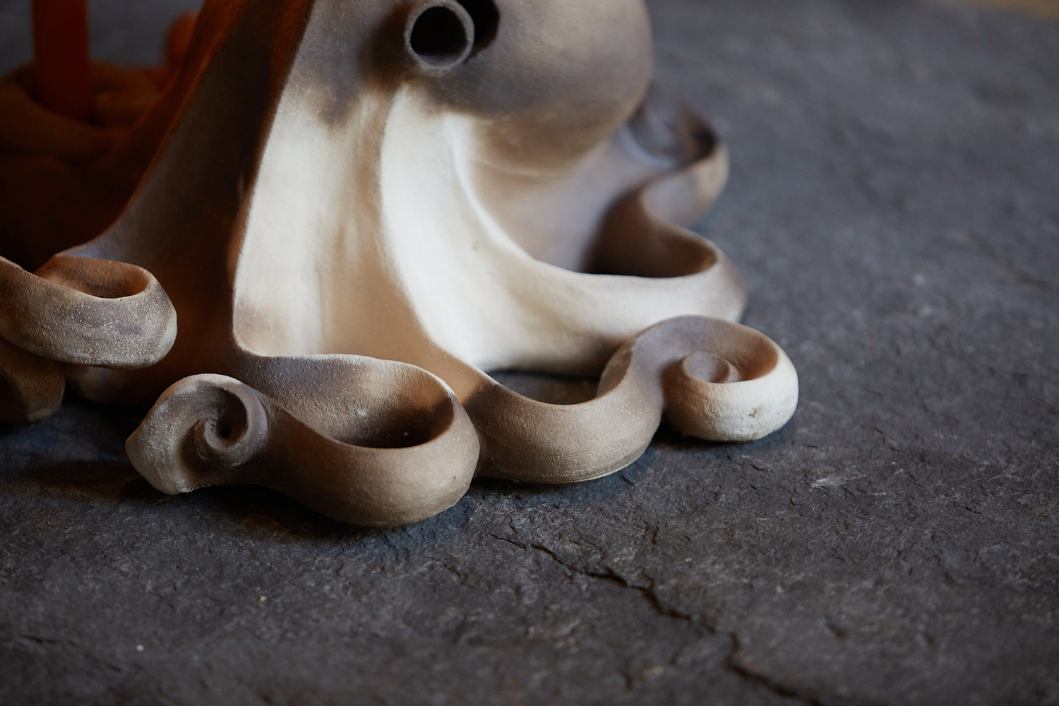 Octopus Candle Holder by Eloise Van der Heyden 