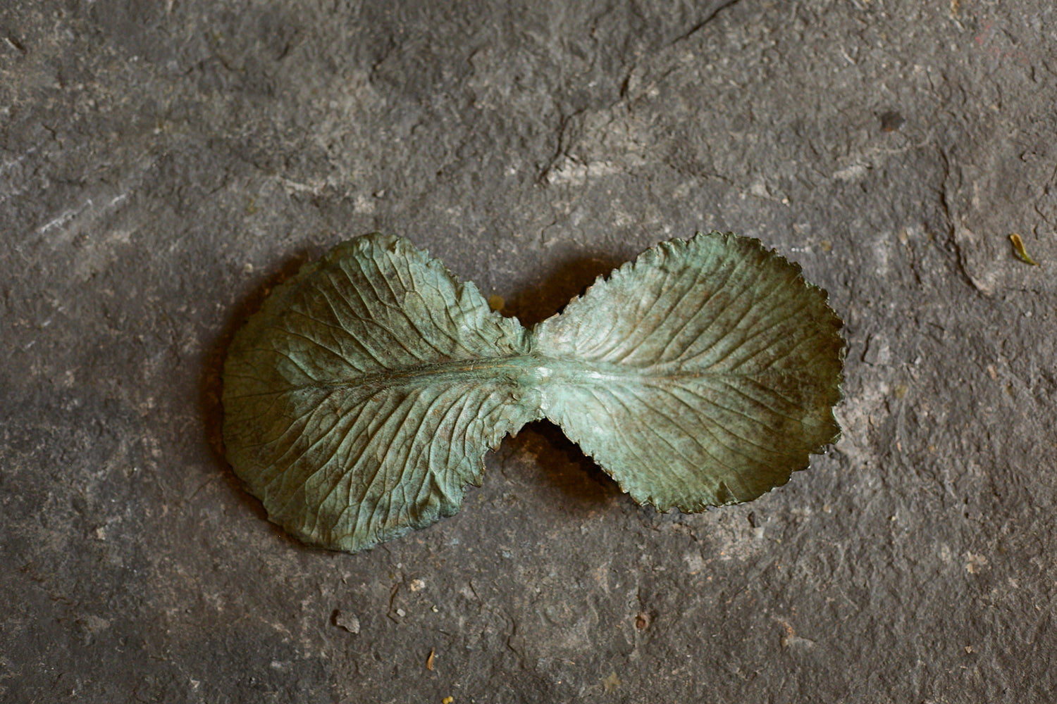 Vide poche Infinito de Clothilde Ancarani