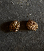 Noix de Clotilde Ancarani