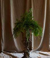 Grand vase Médicis de Bella hunt & Dante Di Calce