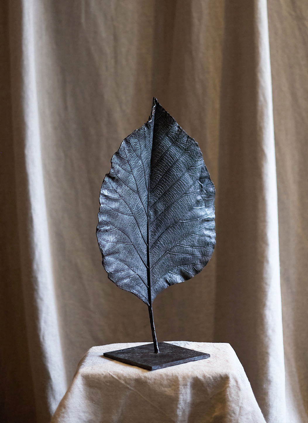 Feuille fermée de Clotilde Ancarani