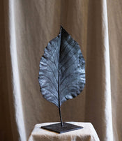 Feuille fermée de Clotilde Ancarani