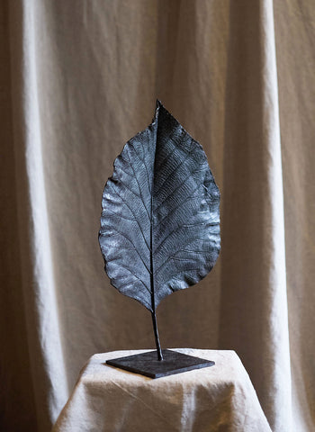 Feuille fermée de Clotilde Ancarani