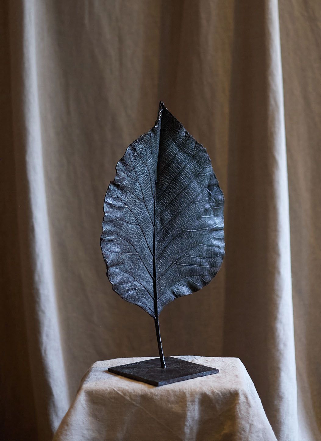 Feuille fermée de Clotilde Ancarani