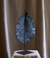 Feuille fermée de Clotilde Ancarani