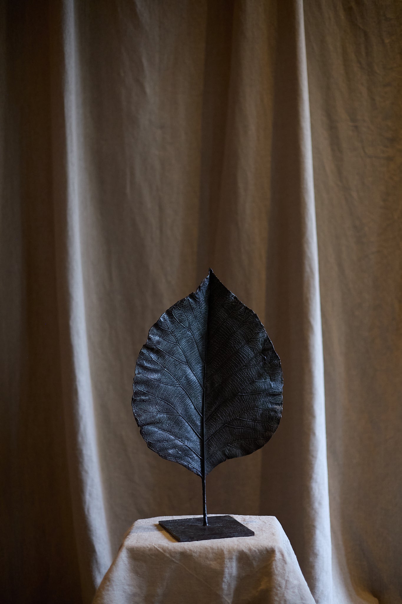 Feuille fermée de Clotilde Ancarani