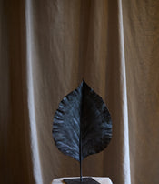 Feuille fermée de Clotilde Ancarani