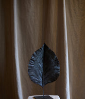Feuille fermée de Clotilde Ancarani