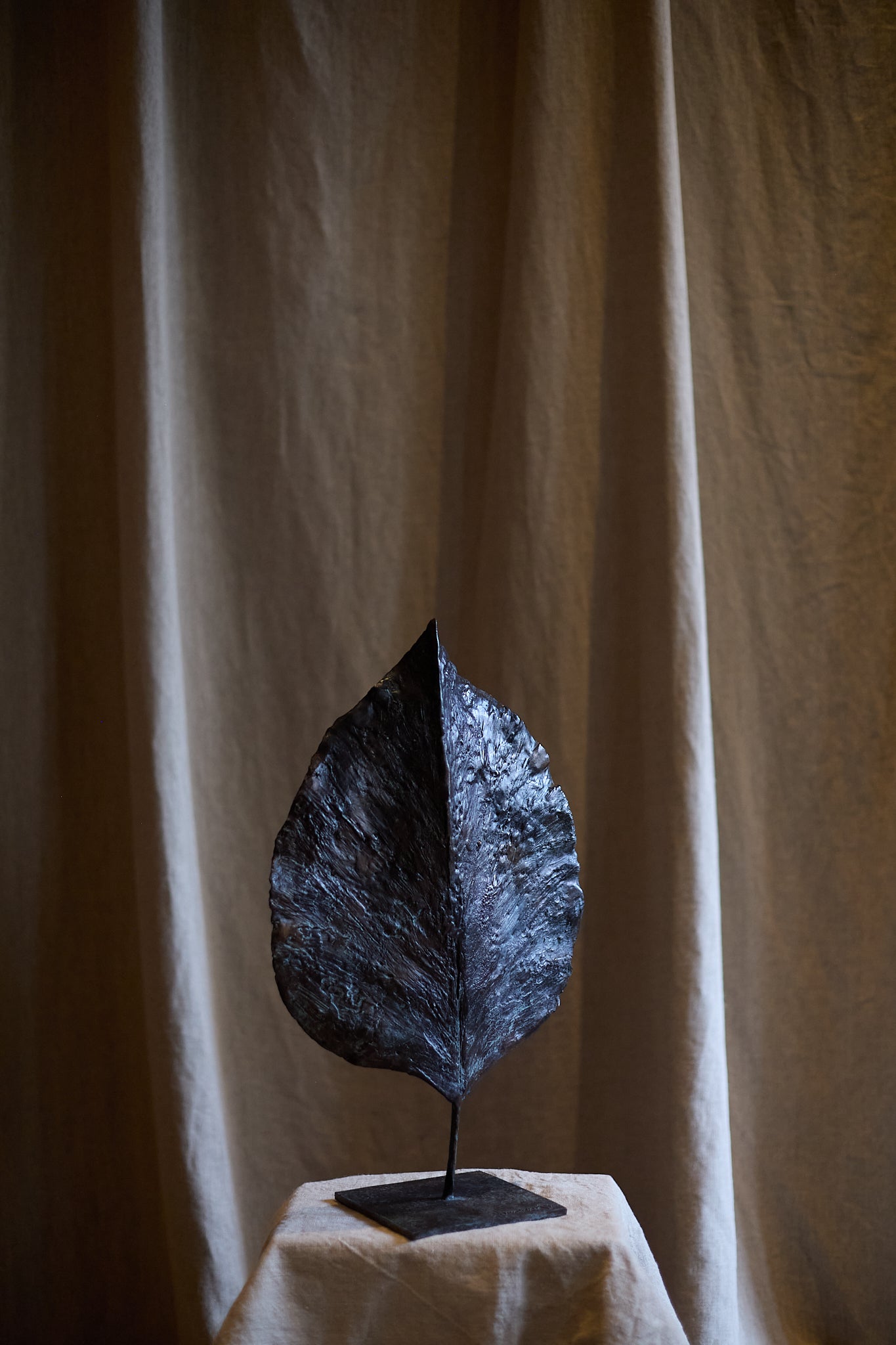 Feuille fermée de Clotilde Ancarani