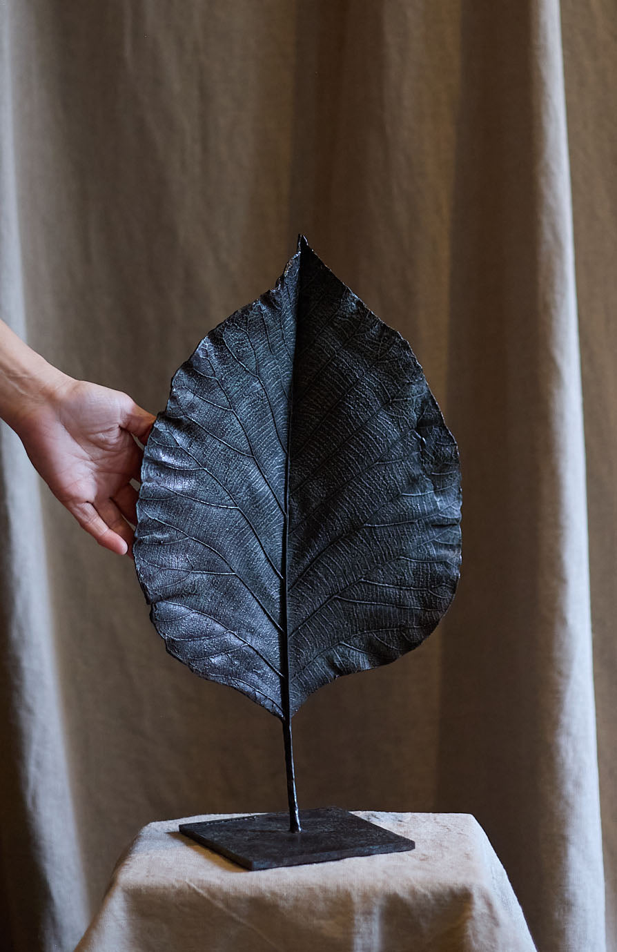 Feuille fermée de Clotilde Ancarani