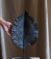 Feuille fermée de Clotilde Ancarani