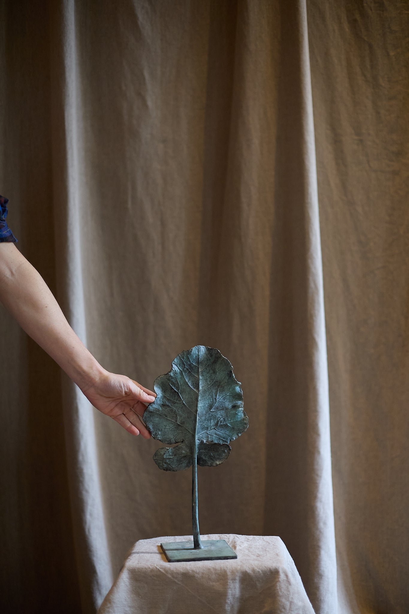 Feuille Arbre de Clotilde Ancarani