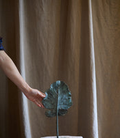 Feuille Arbre de Clotilde Ancarani