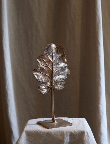 Feuille arbre de Clotilde Ancarani