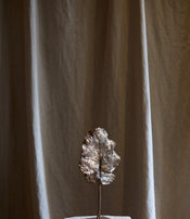 Clotilde Ancarani's Tree Leaf 
