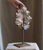 Clotilde Ancarani's Tree Leaf 