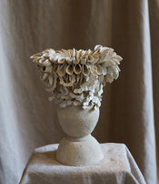 Shell lamp by Le Ruisseau  