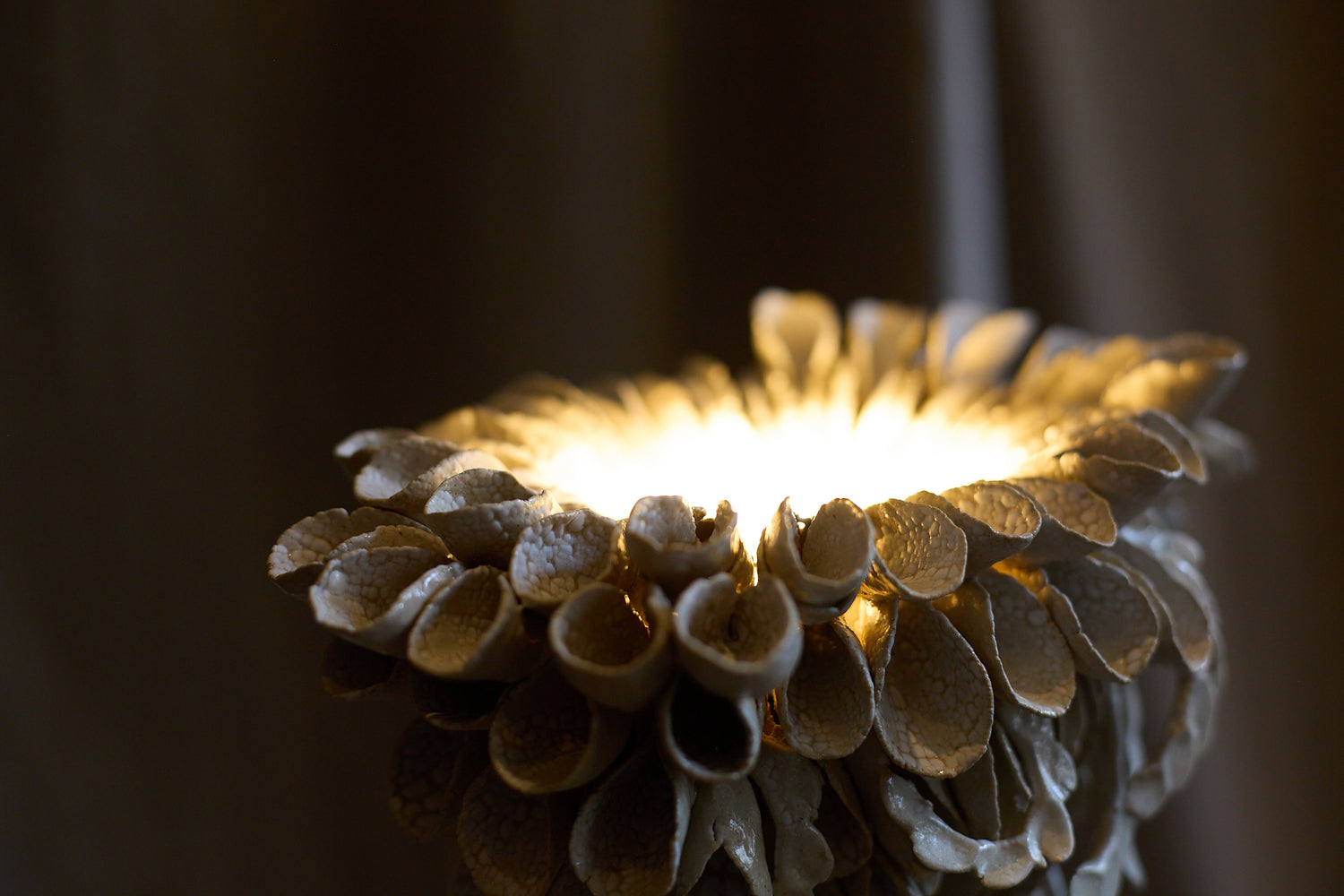 Lampe aux coquillages par Le Ruisseau